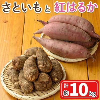 ふるさと納税 境港市 さといもと紅はるかのセット(約10kg)&lt;10月上旬〜2月下旬発送予定&gt;