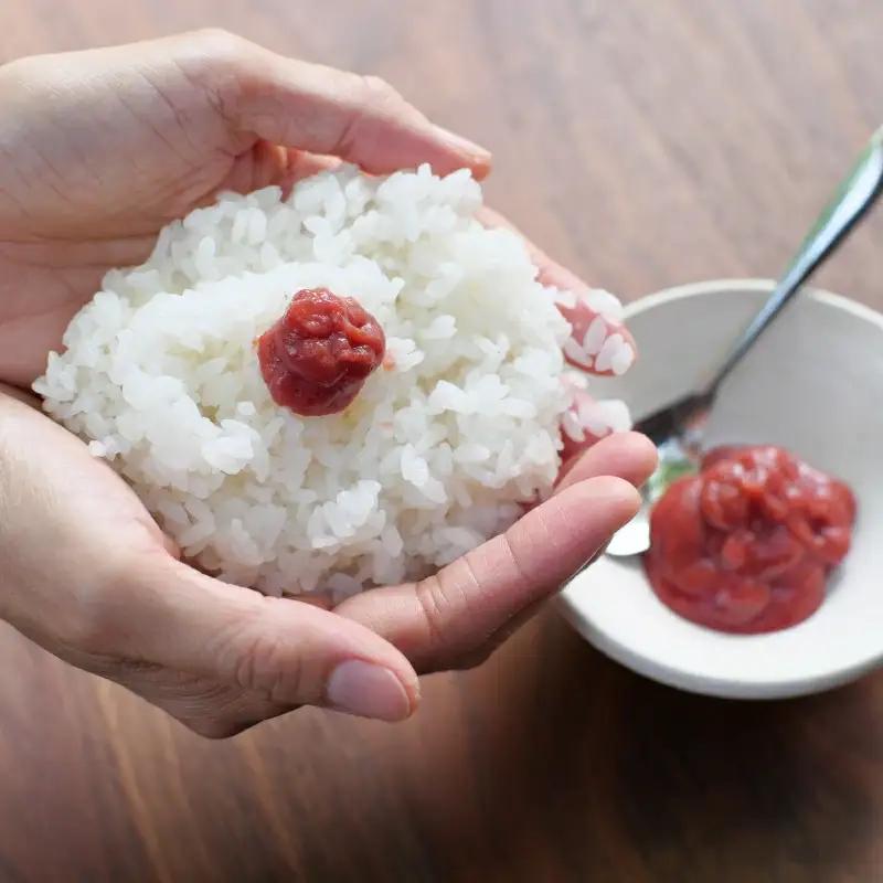 紀州南高梅 ねり梅セット （500g×3本） / 紀州南高梅 南高梅 梅干し 梅干 梅 うめ 和歌山 田辺市 肉厚 お米 梅肉 しそ しそ風味 練り梅 練梅【nkn007-2】