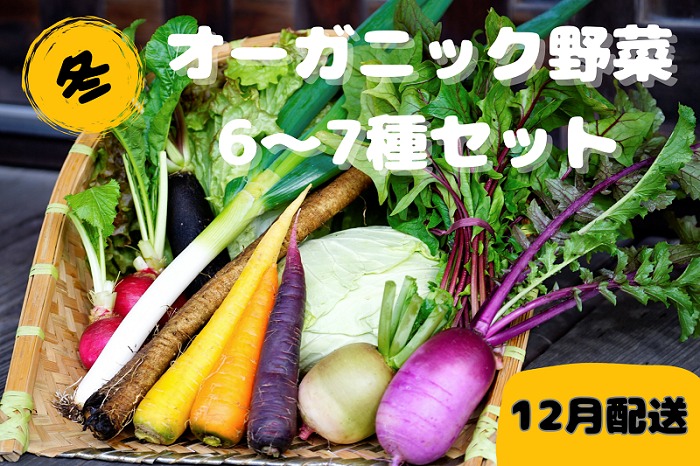 【先行予約：12月配送】＜てんとうむしばたけ＞冬のオーガニック野菜セット　有機野菜6～7種前後　BR00041_12