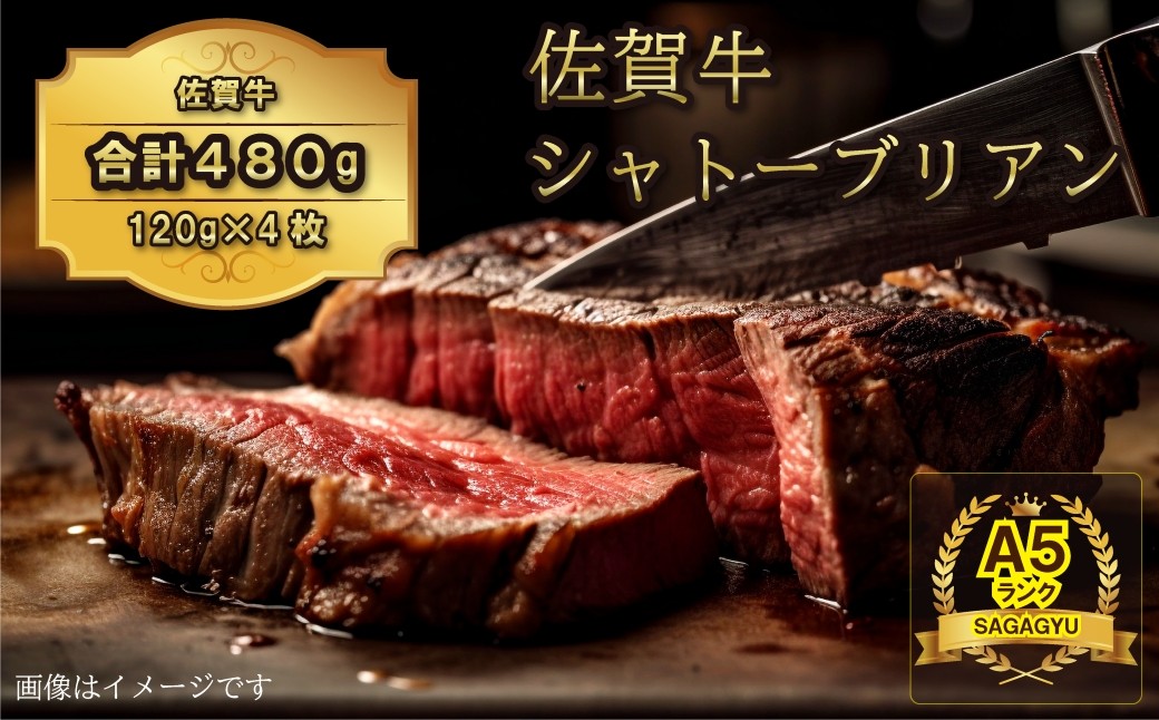 
                  佐賀牛ヒレ シャトーブリアン480g（120g×4枚）
                