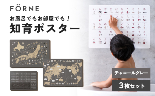 知育ポスター3枚セット（チャコールグレー）（日本地図・世界地図・ローマ字）【幼稚園 小学生 オシャレ 学習用 防水加工 知育 情操教育 おしゃれ 子供 シンプル ギフト お祝い 入園 入学】 [№5310-0212]