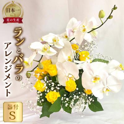 ふるさと納税 田原市 器に盛ったランとバラのアレンジ S 　ギフト・プレゼントに最適 愛知県田原市