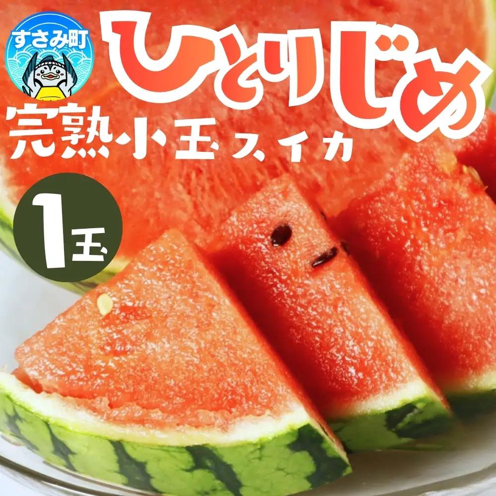 すいか 和歌山の小玉すいか「ひとりじめ」約1.8kg 1玉 ※2027年5月下旬頃?6月下旬頃に順次発送予定【uot778B】