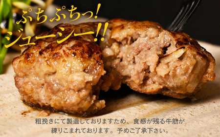黒毛和牛！生 ハンバーグ 120g × 14個 約1.7kg ハンバーグソース付き 【ハンバーグ 冷凍ハンバーグ 超粗挽きのハンバーグ あらびきハンバーグ】 [A-2263]
