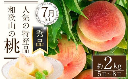定期便全3回　和歌山の人気の夏のフルーツをお届け！