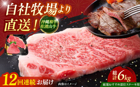 【全12回定期便】【厳選！おすすめ部位】沖縄和牛 佐渡山牛 ステーキ肉 500g 牛肉ステーキ 牛肉ステーキ 牛肉ステーキ 牛肉ステーキ 牛肉ステーキ 