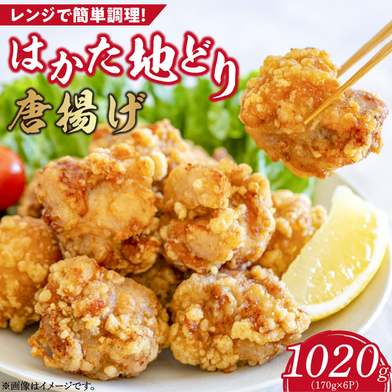 はかた地どり　から揚げ1020g_から揚げ 170g × 6パック 計 1020g 福岡県産 地鶏 手間なし 電子レンジ 簡単 調理 おかず おつまみ 鶏肉 肉 加工品 食品 冷凍 グルメ お取り寄せ お取り寄せグルメ 福岡県 久留米市 送料無料_Ax128