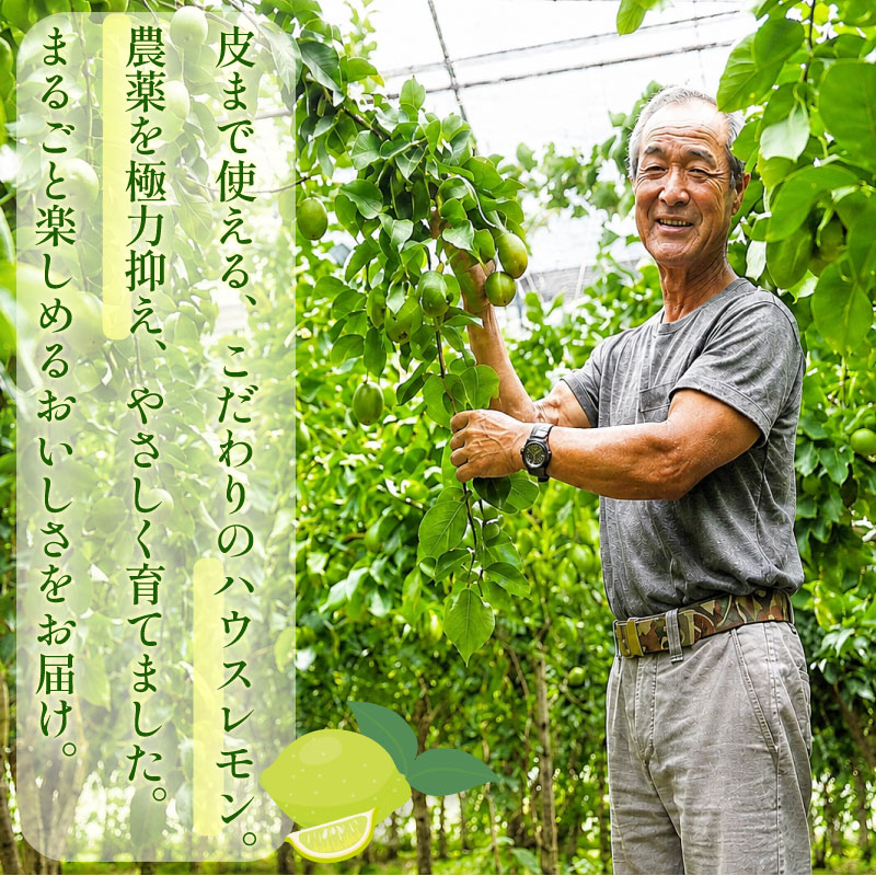 【農林水産大臣賞  先行予約 国産 レモン】選べる 内容量 グリーンレモン 3kg れもん 酸味 甘み 防腐剤不使用 大関農園  静岡県 牧之原市