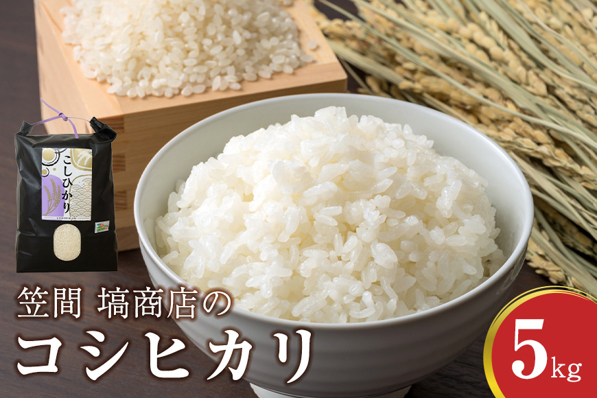 令和7年度産 笠間 塙商店の コシヒカリ 5kg 米 精米 ブランド米 お米 白米 国産 おにぎり 弁当 R7年産 ごはん おいしい 旨い ふっくら お米 茨城県 笠間市 いばらき