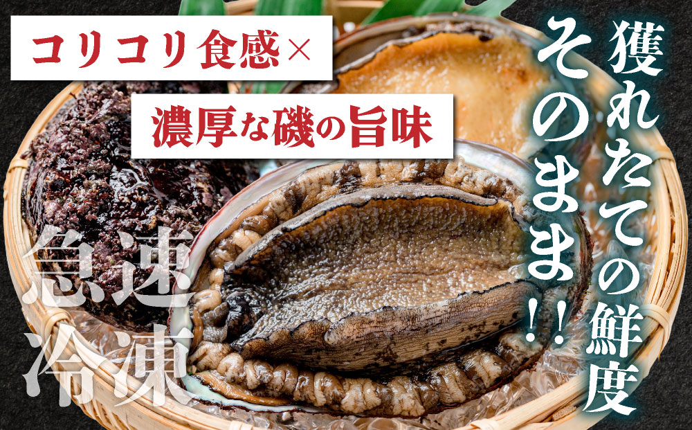 ＜個包装で食べやすい！＞ 天然 蝦夷あわび 計500g | 北海道 あわび 高級 冷凍 冷凍あわび 海鮮 天然 アワビ 鮑 刺身 awabi 小分け 個包装 大容量 北海道 登別市 ギフト