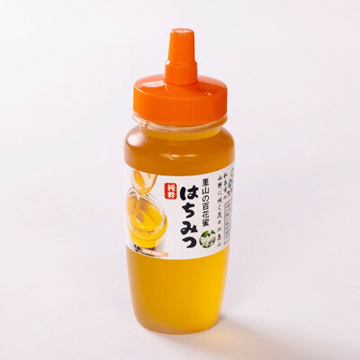 【ふるさと納税】道の駅で大人気のハチミツ(250gノズル付きボトル　2本)【1657710】