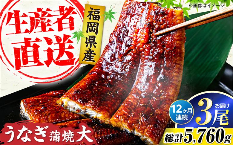 【全12回定期便】福岡県産 うなぎ 蒲焼 大3尾 合計 480 g（1尾あたり 160g以上）《豊前市》【福岡養鰻】 国産 うなぎ 大 [VAD016]
