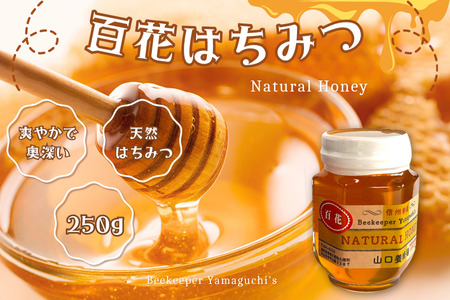 信州特産！！「国産純粋　天然 百花はちみつ」250ｇ｜ハチミツ 蜂蜜 [YY-102-01]