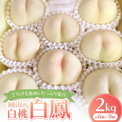 【ふるさと納税】【先行予約・2025年7月発送予定】とろける果肉とたっぷり果汁の岡山の白桃・白鳳(2kg箱)【配送不可地域：離島】【1294294】