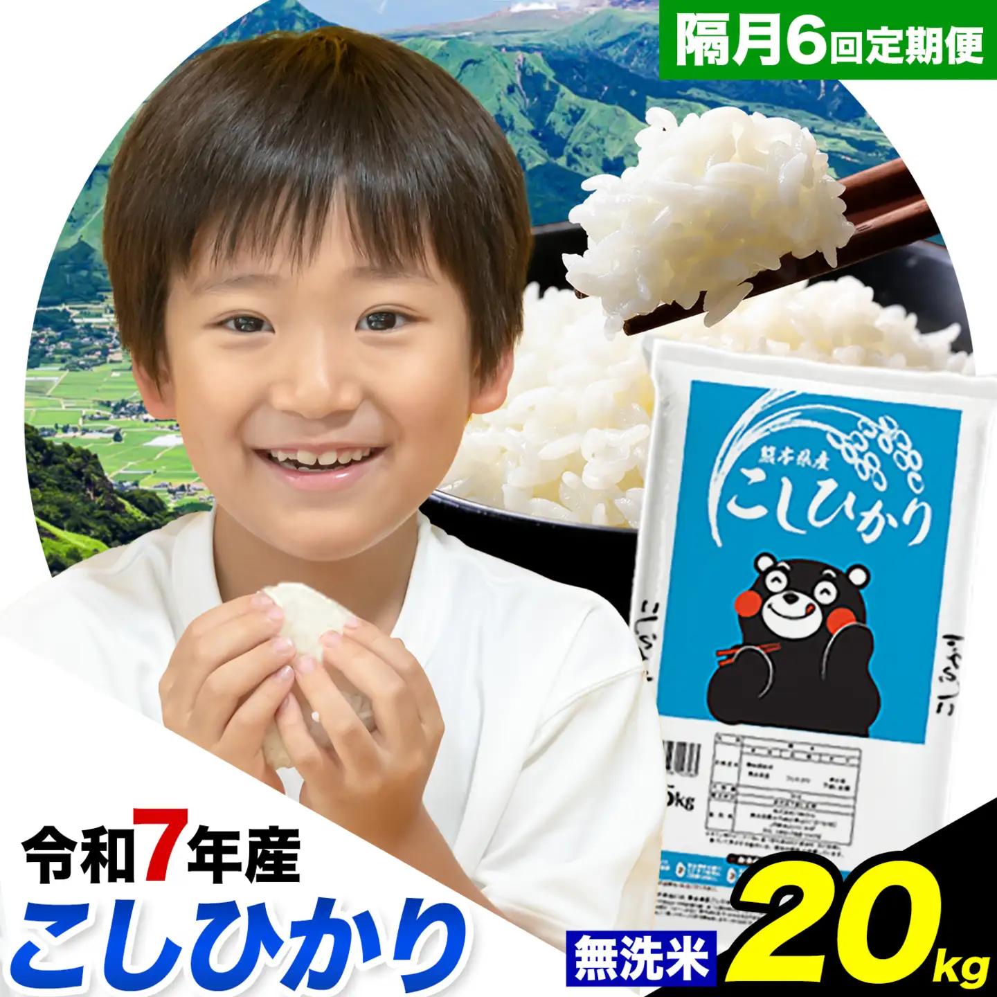 令和7年産 無洗米【隔月6回定期便】 こしひかり 20kg 無洗