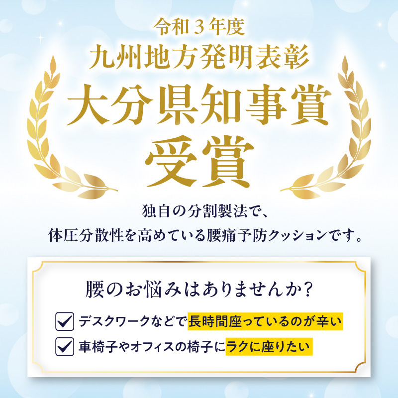 腰痛予防に！体圧分散 フォーケアクッションBasic　厚さ6センチ