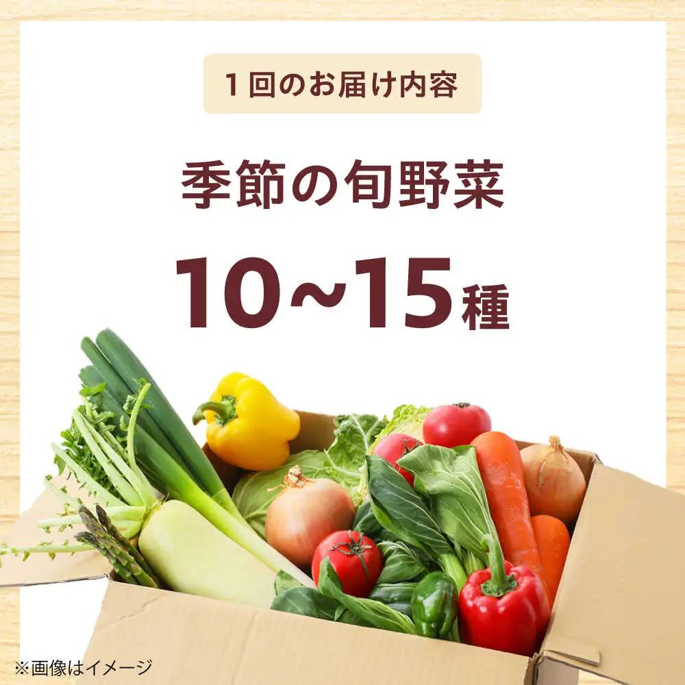 【全12回】高槻野菜 おまかせ詰め合わせ定期便 （10種〜15種）[AOCS021]野菜