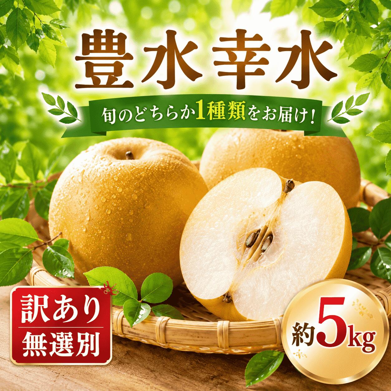 【ふるさと納税】 梨 豊水 幸水 約5kg 先行予約【2027年発送分】なし ナシ ほうすい ホウスイ コウスイ こうすい 品種 おまかせ 果物 果実 くだもの 甘い 訳あり 不揃い わけあり 訳アリ品 ワケアリ 訳アリ 訳有 訳有り フルーツ スイーツ 小林文雄梨園 千葉県 香取市 KBN001