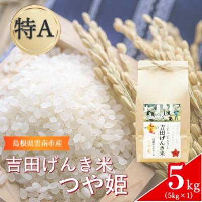ふるさと納税 雲南市 島根県雲南市産　吉田げんき米　つや姫 　5kg(5kg×1)