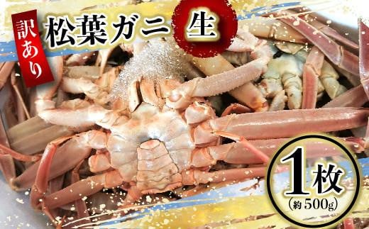 （訳あり）松葉ガニ（生なま） 1枚（約500g）【年明け配送】※着日指定不可※北海道、沖縄、一部離島への配送不可【松葉がに 松葉蟹 ズワイガニ 蟹 カニ かに 国産 人気 おすすめ 鳥取県 琴浦町 送料無料】