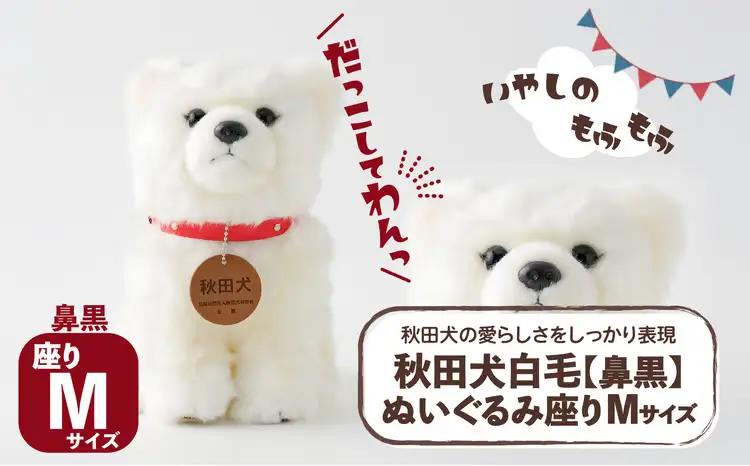 65P7304 秋田犬白毛(鼻黒)ぬいぐるみ　座りＭサイズ【秋田犬保存会】