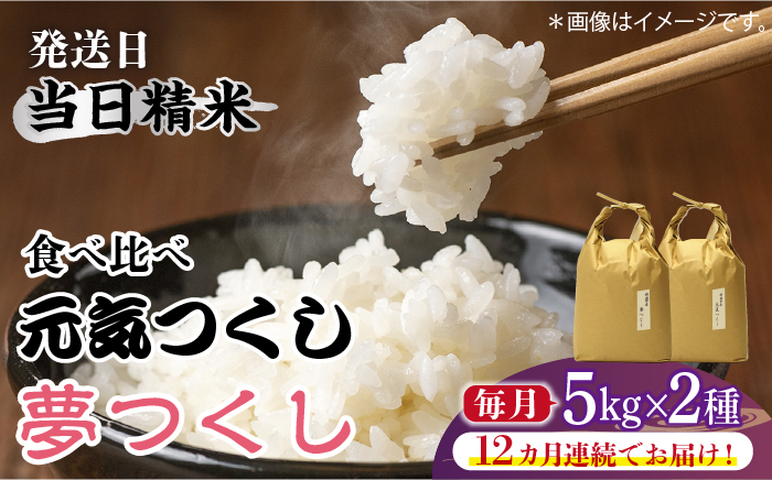 【先行予約】【全12回定期便】福岡県産【特A米】元気つくし【A米】夢つくしの食べ比べ 各5kg×2袋 [10kg] [白米]《築上町》【2024年11月下旬以降順次発送】【株式会社ベネフィス】[ABDF126]