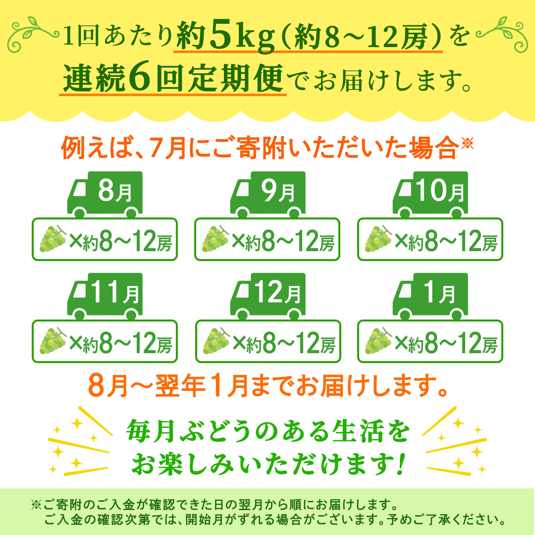 【定期便】6か月連続でお届け！ シャインマスカット 約5kg（約8～12房）【2026年8月から発送開始】（茨城県共通返礼品 [ぶどう]：結城市産） ぶどう ブドウ 葡萄 シャインマスカット 種なし 
