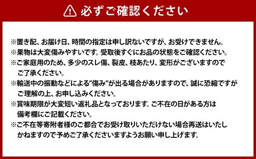 《ご家庭用》 おかやまの桃（大玉）3玉 （合計約900g）