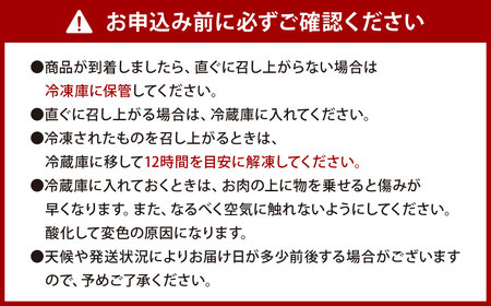 ごちそう九州牛 ハンバーグのジュー 5個入り