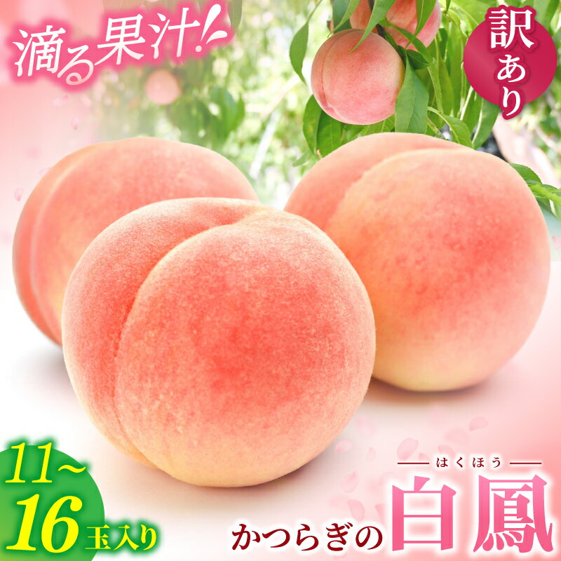 【ふるさと納税】 【訳あり・ご家庭用】 《数量限定》桃 家庭用 訳あり 和歌山県産 白鳳 11〜16玉 【2025年6月下旬から7月中旬ごろ発送】 桃 もも モモ 果物 くだもの フルーツ 先行予約 白鳳 人気 和歌山の桃 数量限定 お取り寄せ かつらぎ町 送料無料