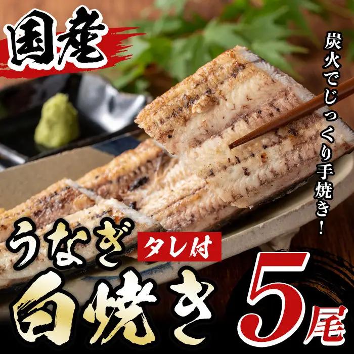 国産！うなぎ白焼き(5尾・タレ付き) 国産 九州産 鰻 ウナギ 無頭 魚 魚介類 かばやき 蒲焼 蒲焼き しろやき 白焼 おかず 特産品 お土産 ギフト プレゼント 冷蔵【尾方屋】_y489