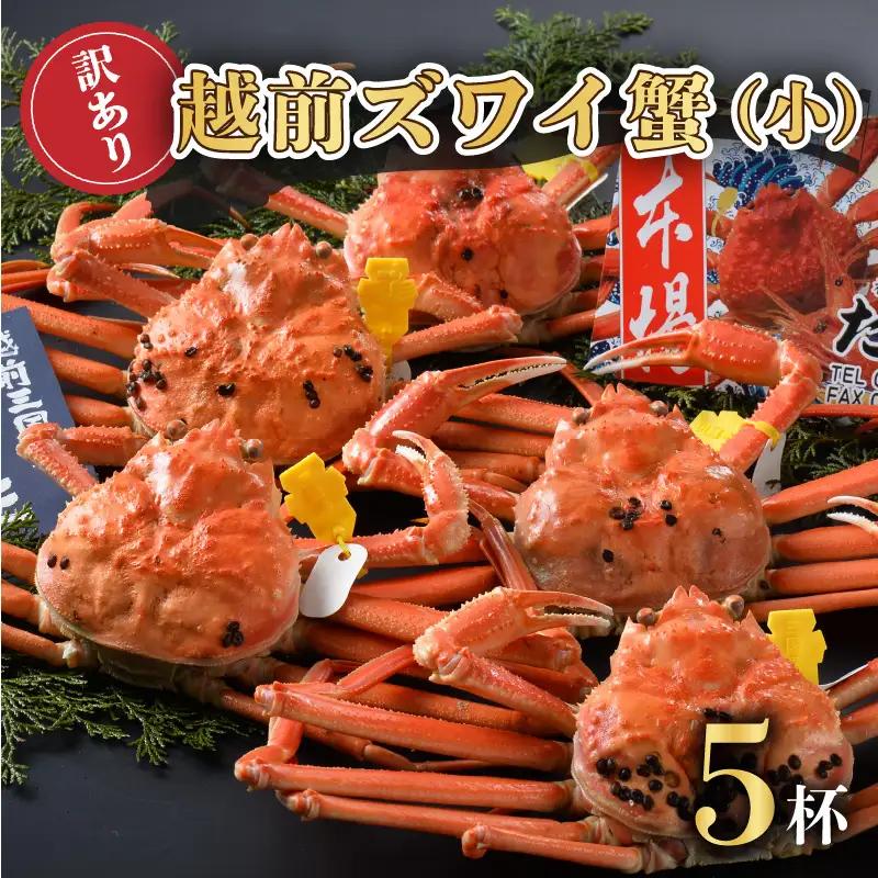 訳あり≪茹で≫越前ズワイ蟹(小) 5杯【2027年1月発送分】かに カニ [J-1605_01]