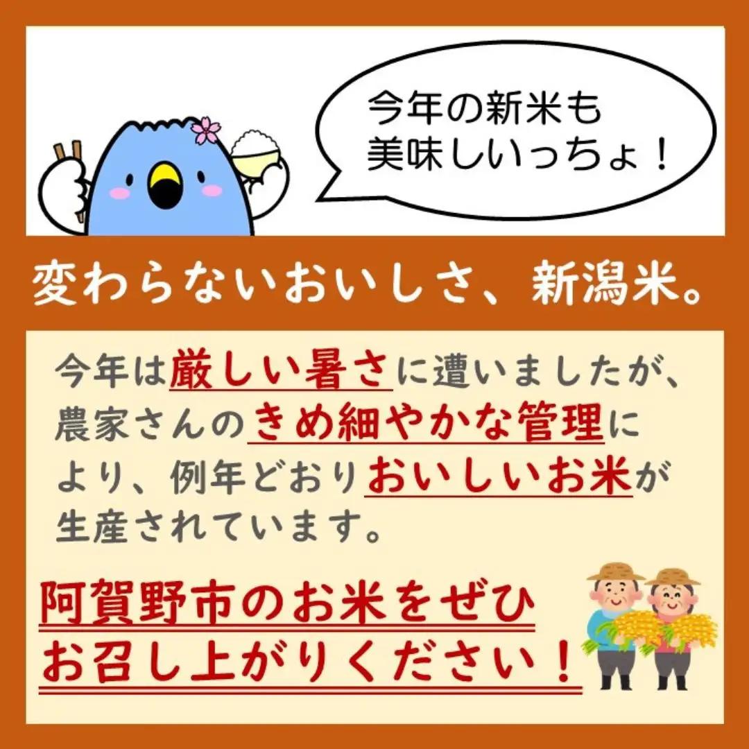 【令和7年産】【新潟県認証米】 5kg 特別栽培米 新之助 阿賀野市産 丸山農園 米 こめ コメ 白米 精米 3F03014
