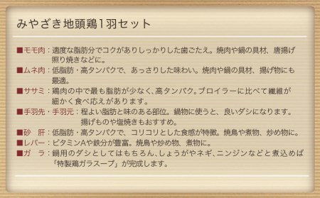 みやざき地頭鶏1羽セット_MJ-E602_(都城市) 宮崎ブランド 宮崎の地鶏 みやざき地頭鶏 (じとっこ) 鶏肉セット モモ肉 胸身 ササミ 手羽先 手羽元 砂肝 レバーガラ 真空パック チルド 鶏