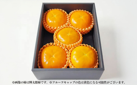 【堀内果実園】《贈答用》富有柿 大玉ギフト 4L以上 5玉 | フルーツ 果物 くだもの 柿 かき カキ 富有柿 奈良県 五條市 贈答 プレゼント