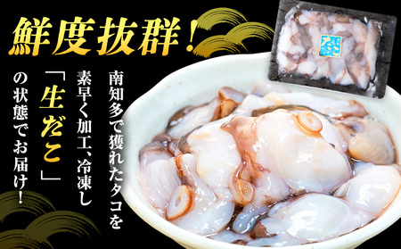 タコ 三昧 ( 120g × 6袋入 ) 冷凍 たこ足 タコ 蛸 小分け 真空パック 海鮮 新鮮 魚介 海の幸 海産物 刺身 国産 シーフードエム・エム 愛知県 南知多町