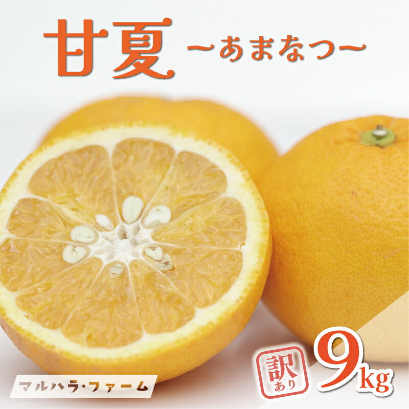 【ふるさと納税】 訳あり 甘夏 9kg サイズミックス 7000円 みかん 愛媛 ミカン mikan 蜜柑 わけあり あまなつ 夏みかん だいだい 産地直送 国産 農家直送 減農薬 期間限定 数量限定 人気 限定 おいしい 小玉 含む フルーツ 果物 柑橘 規格外 マルハラファーム 愛南町 愛媛県