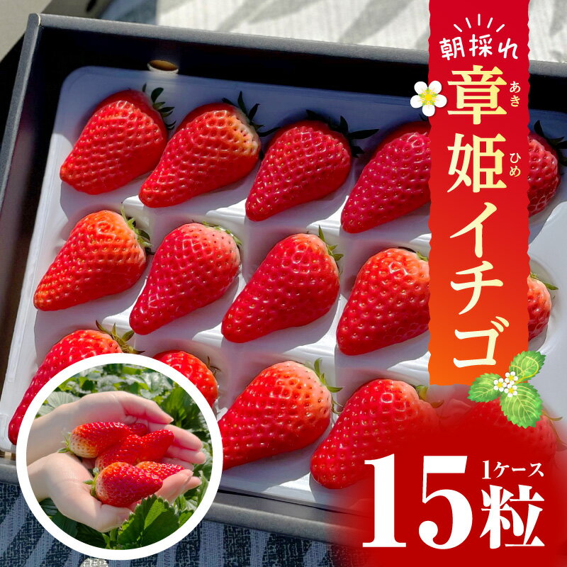 【ふるさと納税】章姫(あきひめ) イチゴ15粒×1ケース 【生産地】愛知県西尾市産・D033 果物 フルーツ ケーキ 旬のフルーツ 季節のフルーツ 甘い デザート おすすめ 国産 苺 章姫 ギフト プレゼント お祝い 内祝い お返し 贈り物 贈答 贈答用 食品 愛知県 西尾市 送料無料