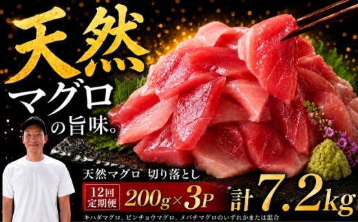 【12回定期便】天然マグロ切り落とし 200g×3P│天然マグロ 切り落とし 刺身 マグロ丼 冷凍 高知県 ふるさと納税 キハダマグロ ビンチョウマグロ メバチマグロ 海鮮 お取り寄せ グルメ 時短 簡単調理 解凍するだけ 一口サイズ 手巻き寿司 具材 ユッケ カルパッチョ 漬け丼 おかず おつまみ ギフト 贈答 贅沢 人気 おすすめ 産地直送 新鮮 晩酌 魚介