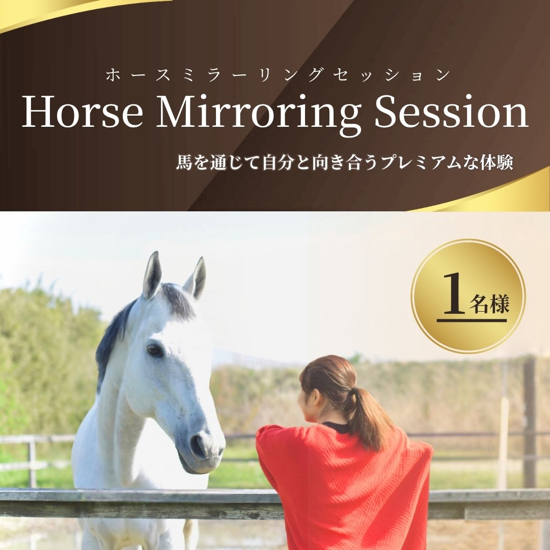 【ふるさと納税】ホースミラーリングセッション 1名様 | 乗馬 乗馬体験 馬とのふれあい 体験チケット 研修 自己研鑽 自己内省 チームビルディング