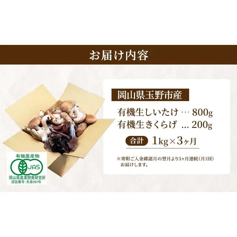 【 産地直送 】 有機JAS 生椎茸 800g ＆ 生きくらげ 200g 定期便 3ヶ月 オーガニック しいたけ 椎茸 きくらげ きのこ 野菜 岡山県 玉野市 栽培期間中化学肥料不使用 栽培期間中農薬