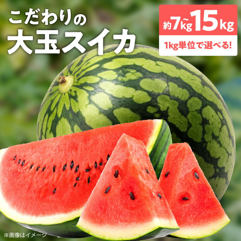 【ふるさと納税】大玉 スイカ 1玉 選べる 約 7kg ～ 15kg こだわり 完熟 甘みが詰まった 農家直送 旬のフルーツ 大玉スイカ ジューシー フルーツ 果物 ジュース お取り寄せ お取り寄せフルーツ 宮崎県 延岡市 送料無料