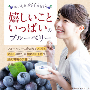 飲むブルーベリー酢　300ml×2本_お酢 ドリンク ブルーベリー 300ml 2本 飲むお酢 ブルーベリー酢 甘くて飲みやすい 希釈 3倍～5倍 果汁 アントシアニン 疲れ目予防 腸内環境改善 簡単
