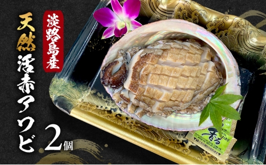 天然 活あわび 2個 活鮑 赤あわび あわび 鮑 貝 貝類 海鮮セット 刺身 お刺身 BBQ バーベキュー 海鮮 冷蔵 淡路島 洲本市 [№5395-0296]