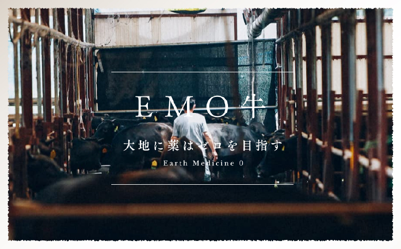 宮崎牛入有田ハンバーグ150g×5個と万能切落し500g 宮崎牛 和牛 黒毛和牛 国産牛 牛肉 ハンバーグ 牛100％ ハンバーグステーキ 切り落とし 切落し 万能切落し 霜降り 赤身 混在 有田牧畜