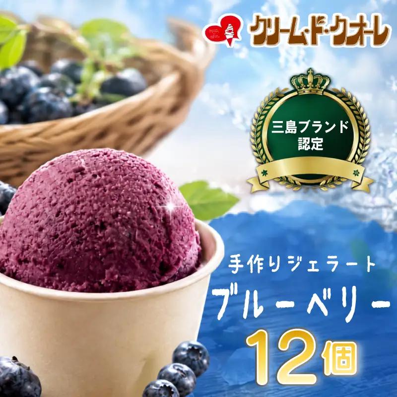ブルーベリー ジェラート 12個 アイス じぇらーと ぶるーべりー