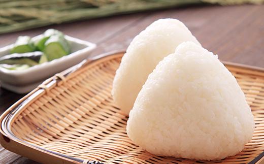 73-7S201新潟県長岡産新之助20kg（5kg×4袋）