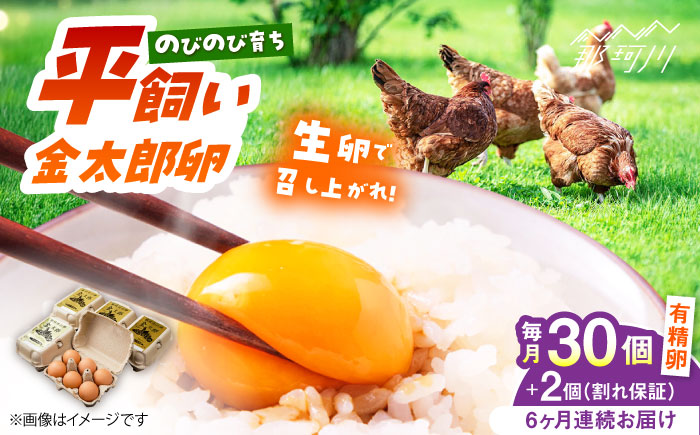 【全6回定期便】【TVで紹介！】鮮度ＡＡ級の世界最高ランク！金太郎卵 平飼い たまご 30個（6個×5パック）＜有限会社 フジノ香花園＞那珂川市 卵 タマゴ [GAM018]