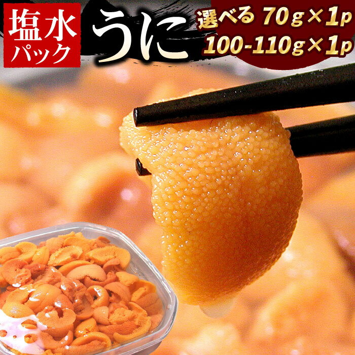 【ふるさと納税】エゾバフンウニ(黄色)塩水パック 選べる 70g×1P 100〜110g×1P うに ウニ 雲丹 バフンウニ エゾバフンうに 海鮮 塩水 北海道 根室市