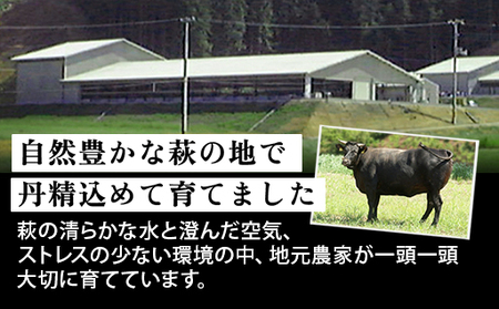 【数量限定】山口県萩市産 見蘭牛 切り落とし 500g (250g×2)国産  肉 お肉 牛